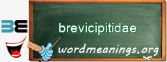 WordMeaning blackboard for brevicipitidae